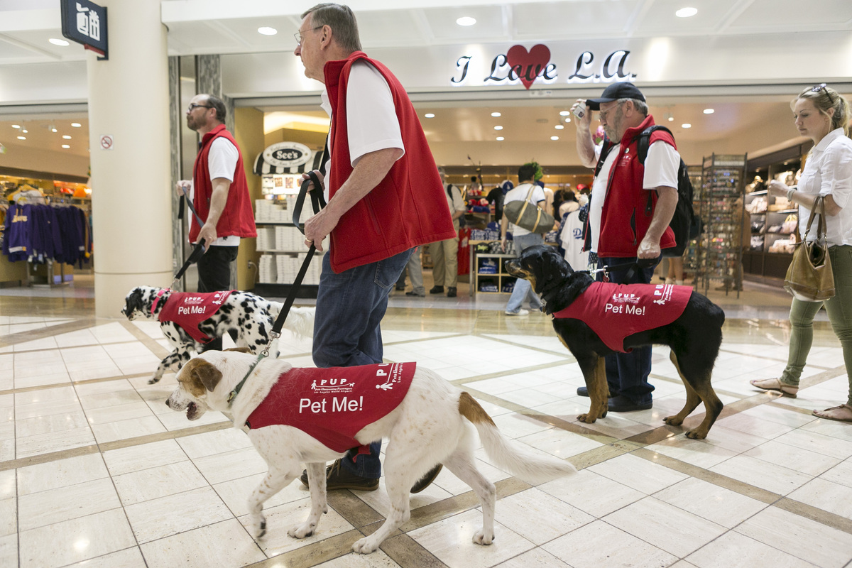 Υπάλληλοι σκύλοι στα αεροδρόμια της Αμερικής