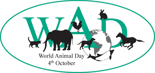 world_animal_day-top