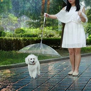 ομπρέλα για σκύλους