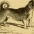 Ο σκύλος σούβλα του 16ου αιώνα